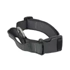 IDC Color&Gray 40 mm széles nyakörv fogóval és cserélhető felirattal, fekete