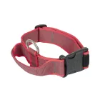 IDC Color&Gray 40 mm széles nyakörv fogóval és cserélhető felirattal, piros