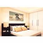 Szagsemlegesítő vászonkép – egyedi fotóval