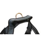  IDC® Color & Gray hevederhám 7 – 15 Kg-os kutyák számára - S / Mini - fekete