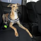 Julius-K9®StopDog mozgásszabályozó autós póráz 
