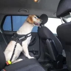 Julius-K9®StopDog mozgásszabályozó autós póráz 