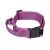 IDC Color&Gray 50 mm széles nyakörv fogóval és cserélhető felirattal, UV pink