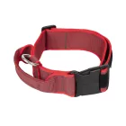 IDC Color&Gray 50 mm széles nyakörv fogóval és cserélhető felirattal, piros