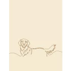 Golden Retriever Line Art polár sál