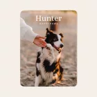 Szuperpuha birkaszőr hatású kutyás fotótakaró 150 x 120 cm 4 képpel