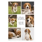 Szuperpuha birkaszőr hatású kutyás fotótakaró 150 x 200 cm 6 képpel