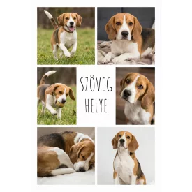   Szuperpuha birkaszőr hatású kutyás fotótakaró 150 x 200 cm 6 képpel