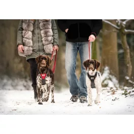 IDC® Longwalk Y-Hám