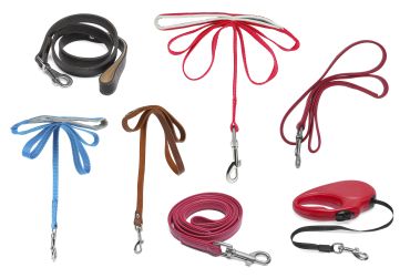 Bőr, nylon, Hexa vagy gumírozott? – Melyik póráz illik a ti életmódotokhoz?